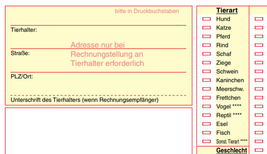 Auftragsformular Sampleimg Gelb